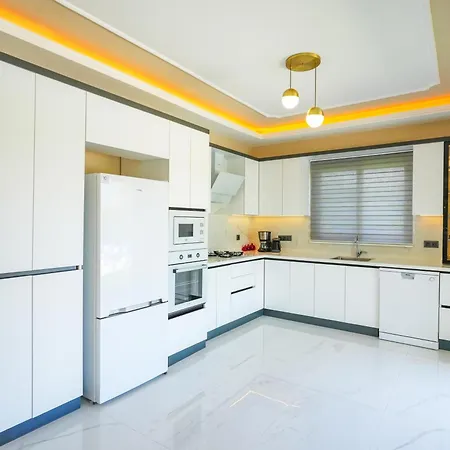 فيلة Albatross *