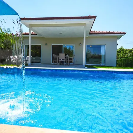 Albatross * أورتاجا