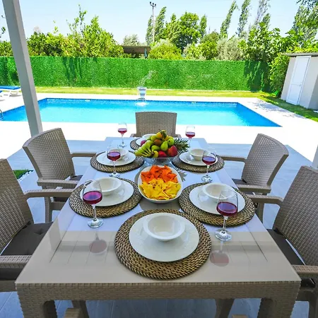 فيلة Albatross *